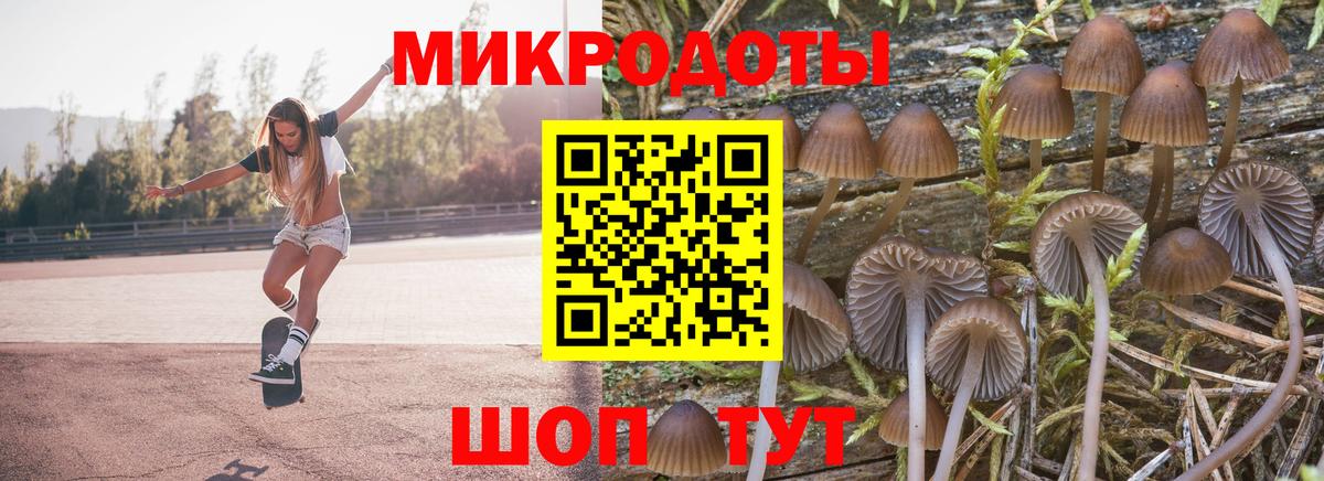 Галлюциногенные грибы GOLDEN TEACHER Ивантеевка